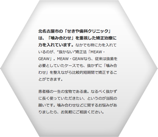 北名古屋市の「せきや歯科クリニック」は、「噛み合わせ」を重視した矯正治療に力を入れています。</strong>なかでも特に力を入れているのが、“抜かない”矯正法「MEAW・GEAW」。MEAW・GEAWなら、従来は抜歯を必要としていたケースでも、抜かずに「噛み合わせ」を整えながら比較的短期間で矯正することができます。
                                    患者様の一生の宝物である歯。なるべく抜かずに長く使っていただきたい、というのが当院の願いです。噛み合わせなどに関するお悩みがありましたら、お気軽にご相談ください。